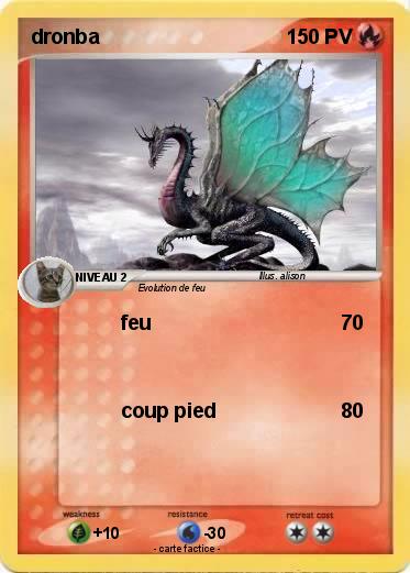 Pokemon dronba