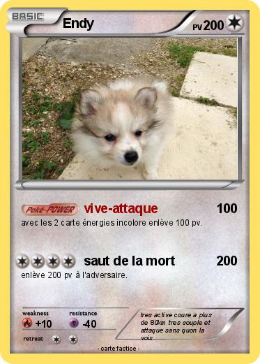 Pokemon Endy