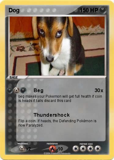 Pokemon Dog