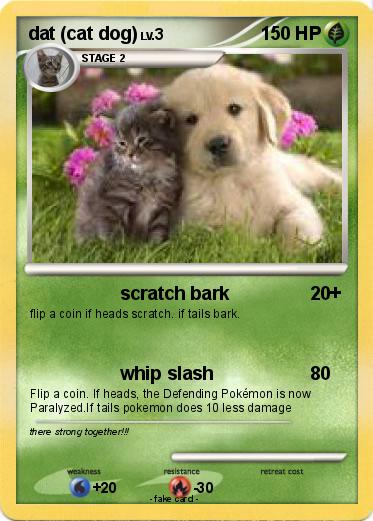 Pokemon dat (cat dog)