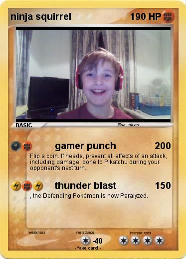 Pokemon ninja squirrel