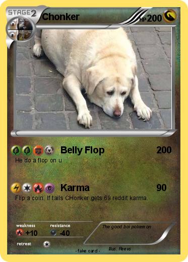 Pokemon Chonker