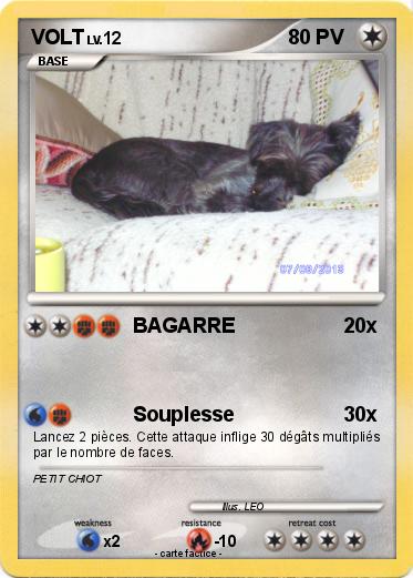 Pokemon VOLT