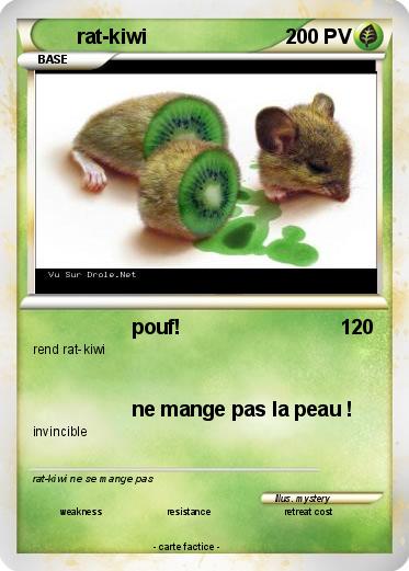 Pokemon rat-kiwi