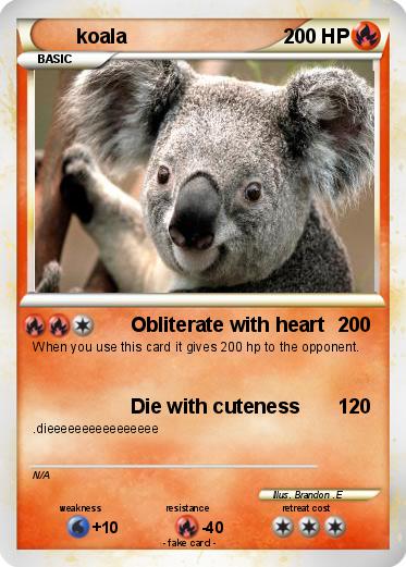 Pokemon koala