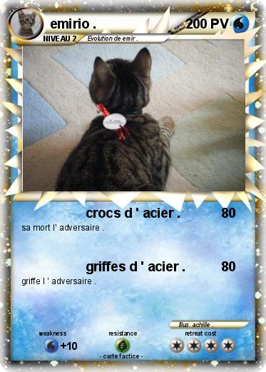 Pokemon emirio .