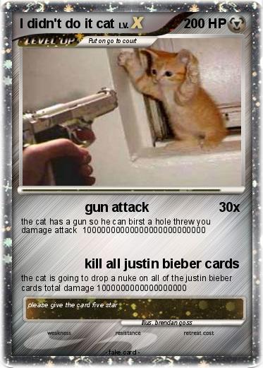 Pokemon I didn't do it cat