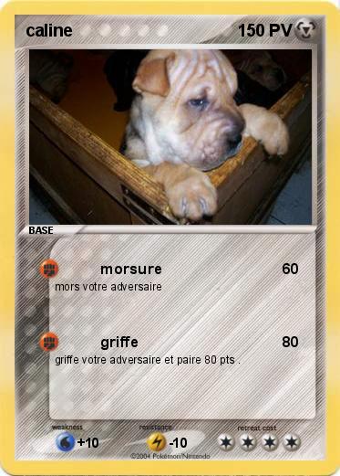 Pokemon caline
