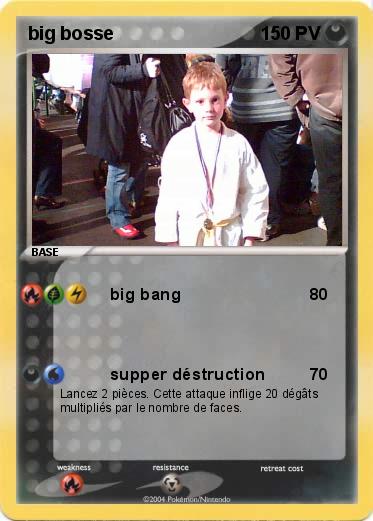 Pokemon big bosse