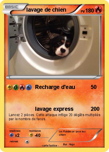 Pokemon lavage de chien