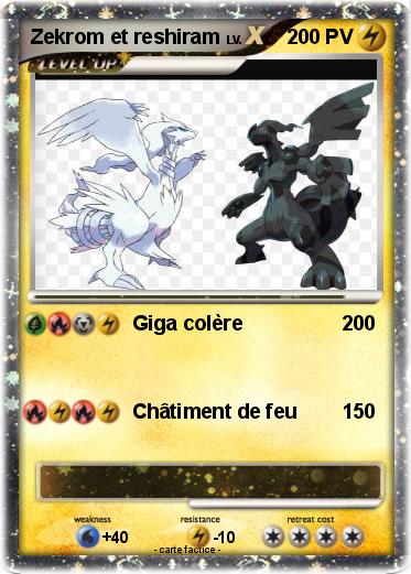 Pokemon Zekrom et reshiram