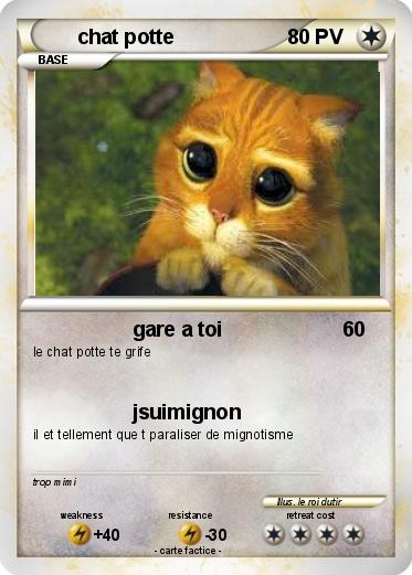 Pokemon chat potte