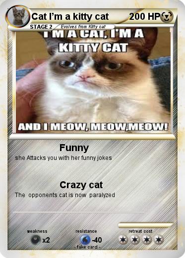 Pokemon Cat I’m a kitty cat