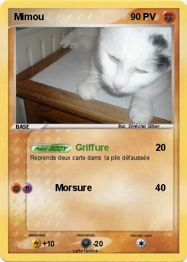 Pokemon Mimou