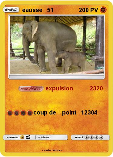 Pokemon eausse   51