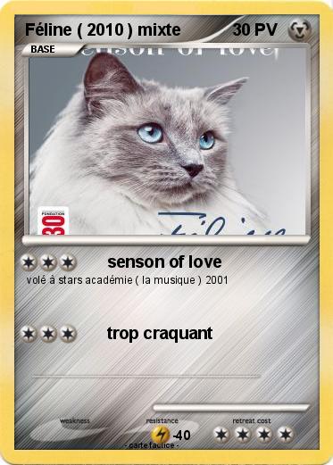 Pokemon Féline ( 2010 ) mixte