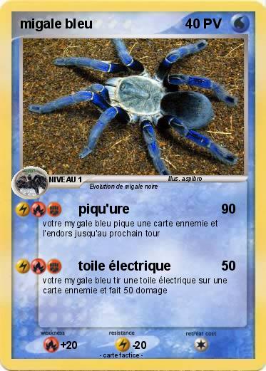 Pokemon migale bleu