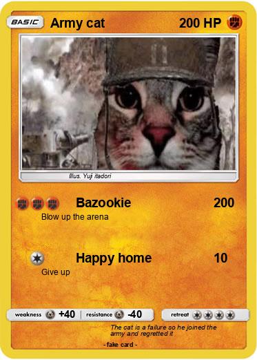 Pokemon Army cat