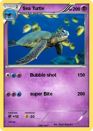 Pokemon Sea Turtle