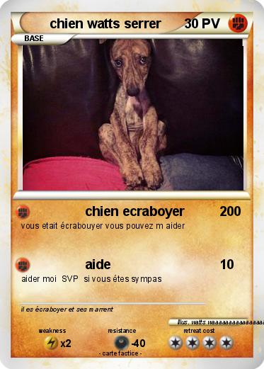 Pokemon chien watts serrer