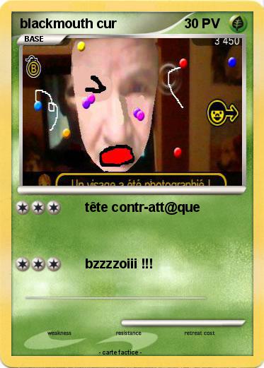 Pokemon blackmouth cur