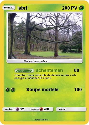 Pokemon labri
