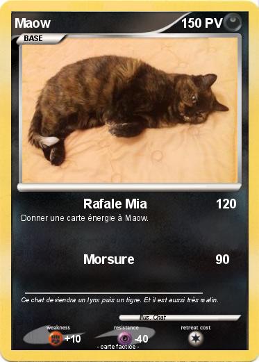 Pokemon Maow
