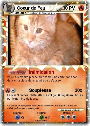 Pokemon Coeur de Feu