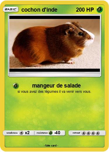 Pokemon cochon d'inde