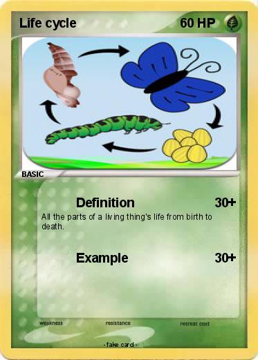 Pokemon Life cycle