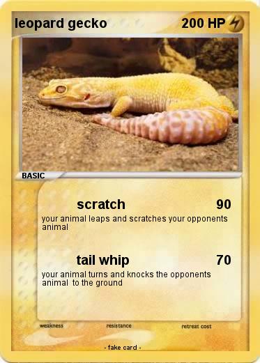 Pokemon leopard gecko