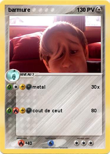 Pokemon barmure