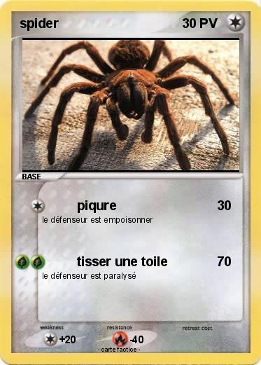 Pokemon spider