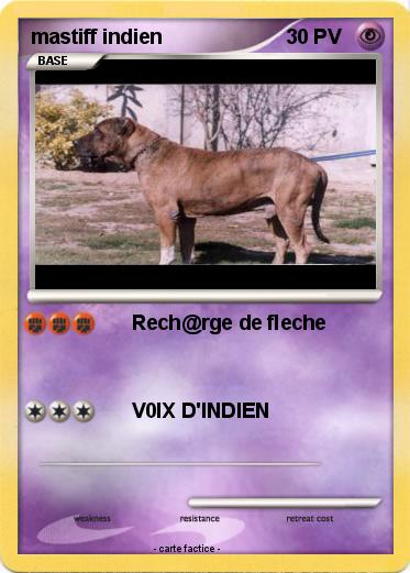 Pokemon mastiff indien