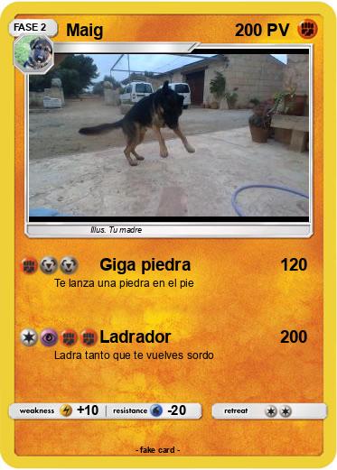 Pokemon Maig