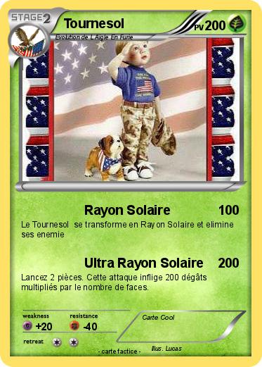 Pokemon Tournesol