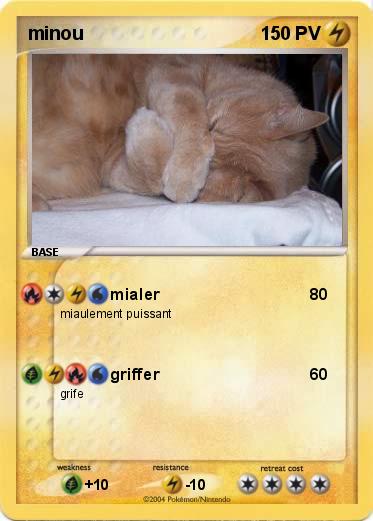 Pokemon minou