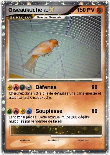Pokemon Oiseaukuche