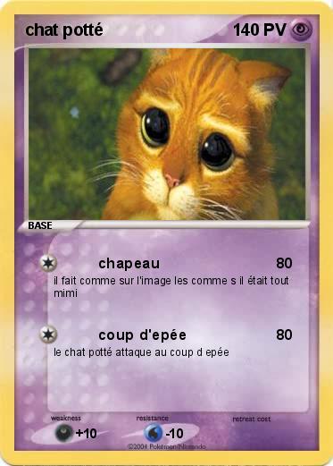 Pokemon chat potté