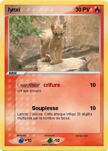 Pokemon lynxi