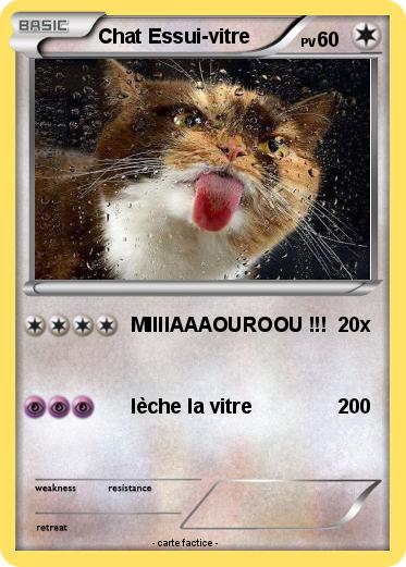 Pokemon Chat Essui-vitre
