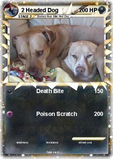 Pokemon 2 Headed Dog
