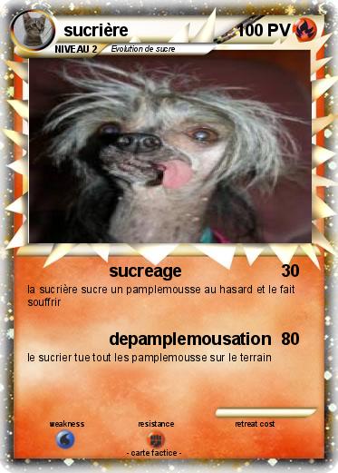 Pokemon sucrière