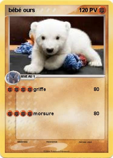 Pokemon bébé ours