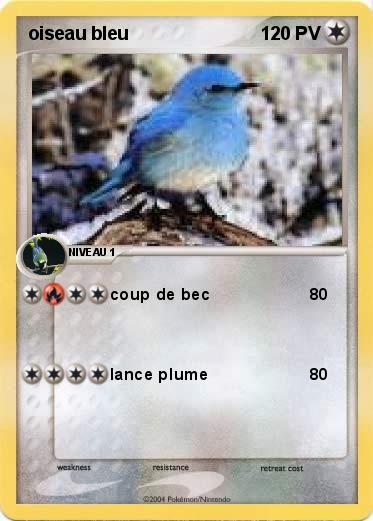 Pokemon oiseau bleu