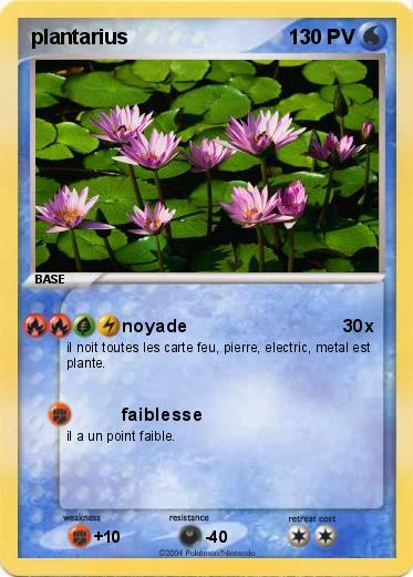 Pokemon plantarius