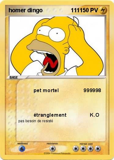 Pokemon homer dingo                  111  