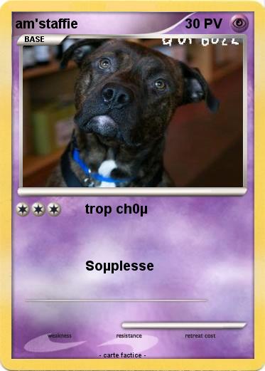 Pokemon am'staffie