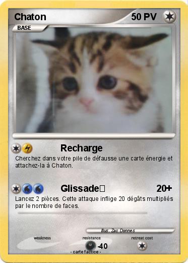 Pokemon Chaton