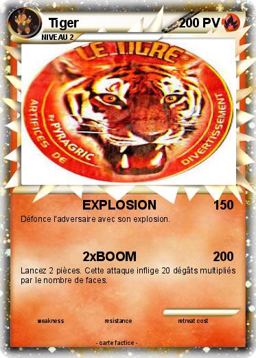Pokemon Tiger